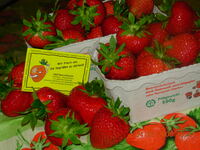Erdbeeren (2)